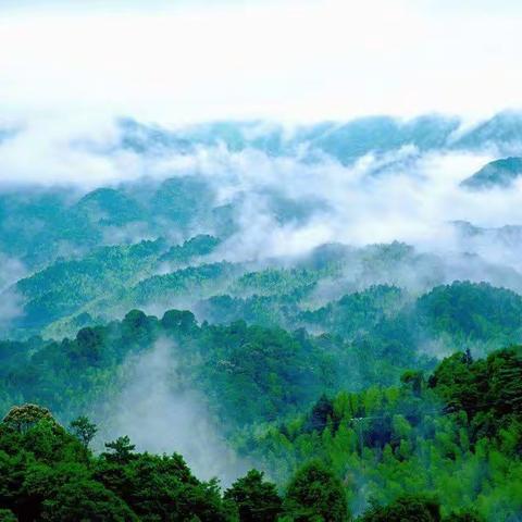 【永汉隔陂】翠竹湖🎋温泉♨️民宿