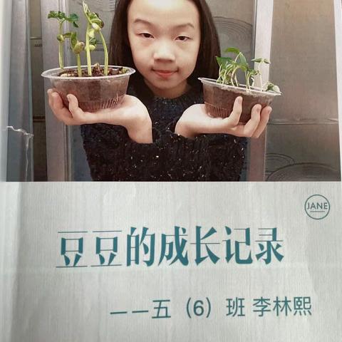 奎屯市第三小学五年级科学第一单元种子发芽🌱实验观察记录活动小结