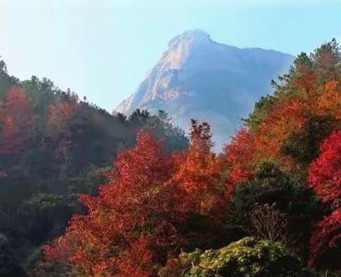 临波先生诗词选录（十五）【秋山篇】