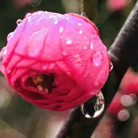 大二班元宵节快乐（2020正月十五）