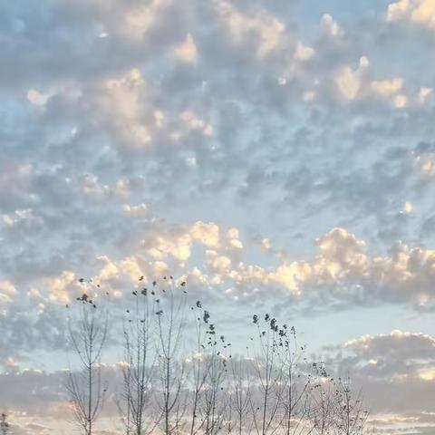 秋去冬来