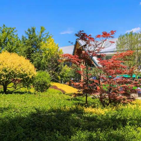 大美新疆行（六）——那拉提大草原