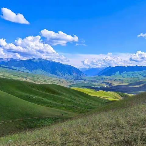 大美新疆行（五）——喀拉峻草原