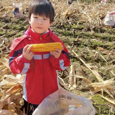 我能帮家长干活啦——天德乡学校一年一班国庆节参加劳动活动