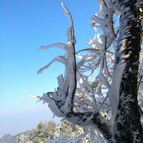 踏雪赏凇天姥山