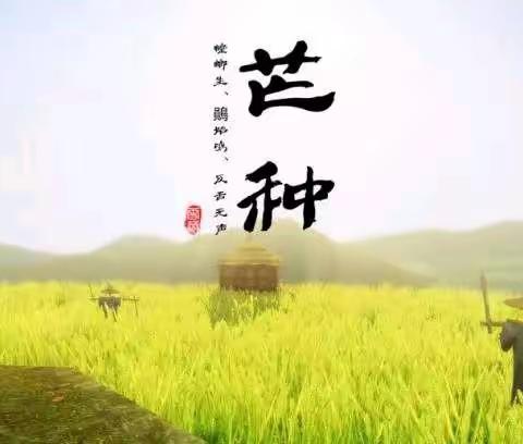 风吹麦成浪,蝉鸣夏始忙——祥和家园幼儿园“芒种”主题教育活动。