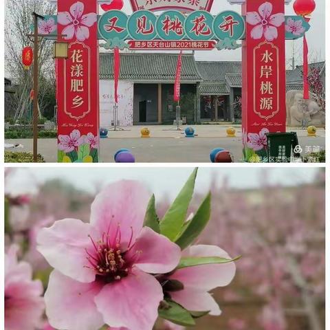 鲜红的桃花      靓丽的青春