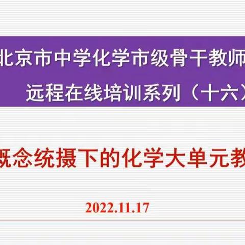 2022年北京市中学化学市级骨干教师高研班活动纪要（十六）