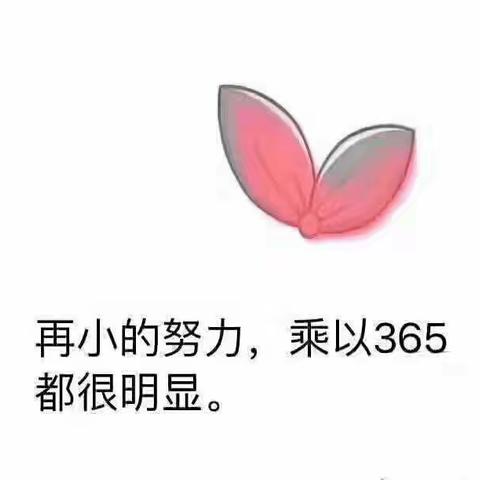 小小追梦人：暑假的成长与收获