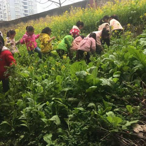 3月12日植树节