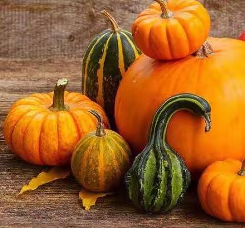 小南瓜 大发现🎃——大一班南瓜微课程探秘