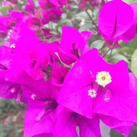 2016年花垣信息技术能力提升培训之随感（三期六组傅瑜）