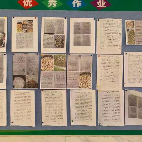 永州市冷水滩区春江小学“快乐双减 作业之趣”特色作业展评——四年级语文组