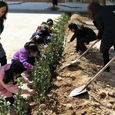 西思雅小学植树节活动