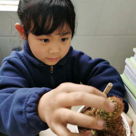 我和春天有个约会