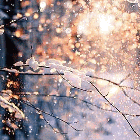 大雪已至❄️，温馨提示❤️——丰润镇高丽铺小学致家长一封信