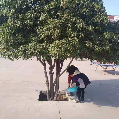 香的美篇