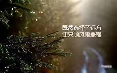 潞城区城市管理行政综合执法大队【监察、特勤、办公室、指挥中心】工作动态(2019年6月28上午--29早)