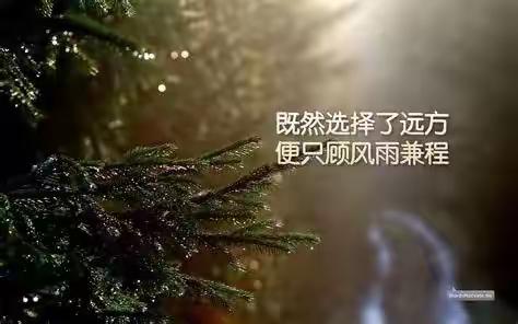 潞城区城市管理行政综合执法大队【监察、特勤、办公室】工作动态(2019年7月14日)