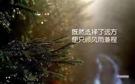 潞城区城市管理行政综合执法大队【监察、特勤、办公室】工作动态(2019年8月16日--17日早)