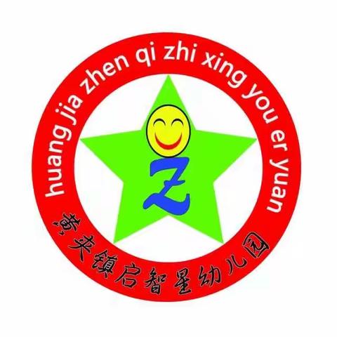 乐陵市启智星幼儿园户外玩具材料投放专题培训