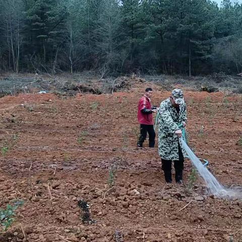 邓家乡横源村党史学习教育“我为群众办实事”主题实践活动——助力产业振兴