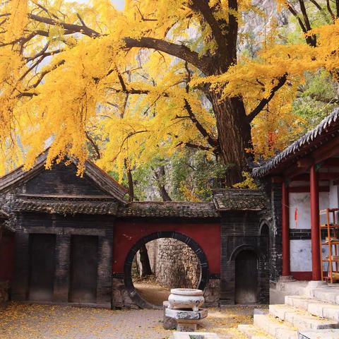 2019年～今色的秋天