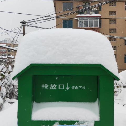 志愿服务进社区，除雪清路为市民