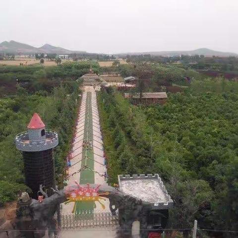 【花七森林•课堂】两天一夜 乘坐网红小火车一起去撒欢儿