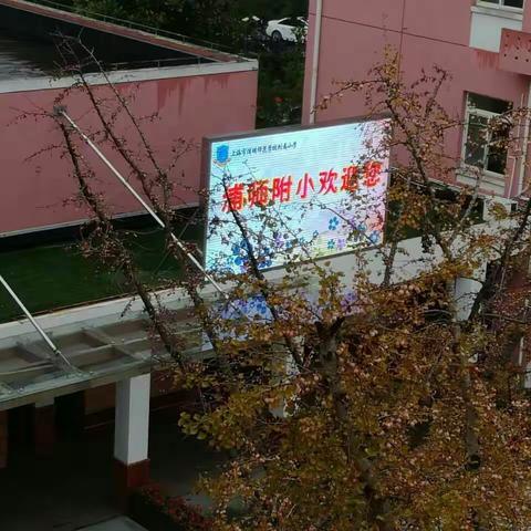 记浦师附小跟岗研修记录