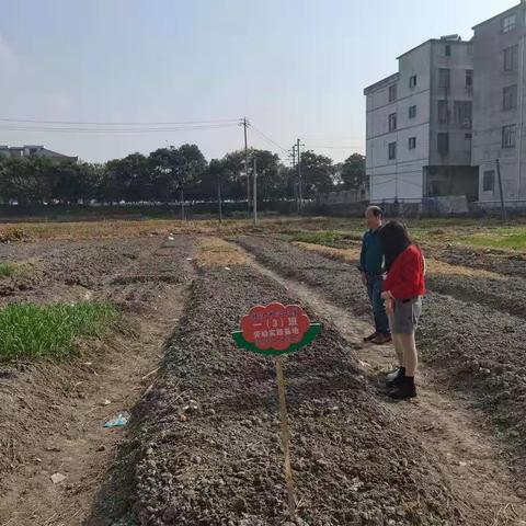 枚江中心小学劳动基地初期评比