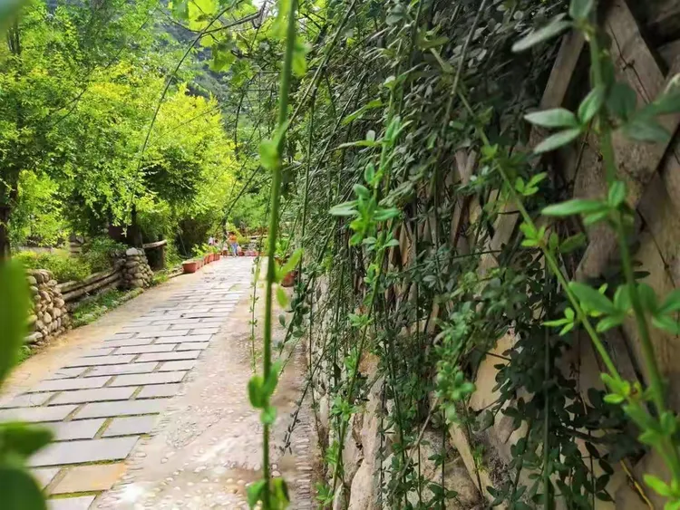 西安后花园,柞水 月泉避暑山庄欢迎您