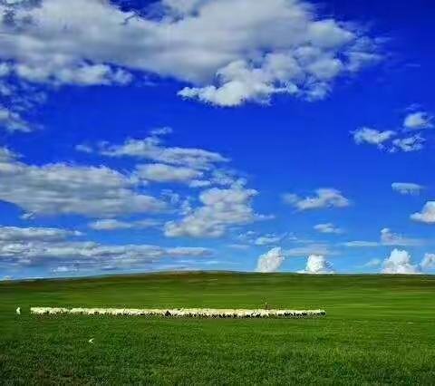最美的风景，我陪你一起欣赏。