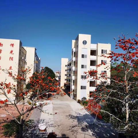 战“疫”三月，温暖网课