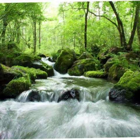 安图县第一幼儿园中班:停课不停学，成长不延期！