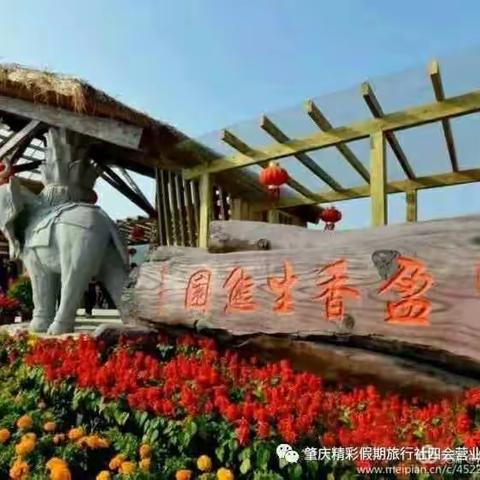 四会市红苹果幼儿园·盈香生态园亲子之旅~开阔眼界、放飞快乐