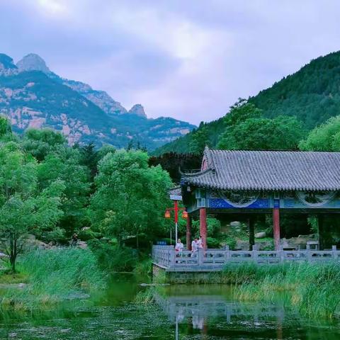 雨后青山分外娇