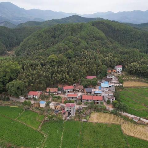 美丽小山村炉下