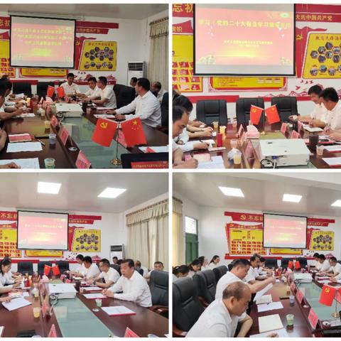 检视剖析促团结 凝心聚力增战力—上思县叫安镇中心小学党支部召开2022年度专题组织生活会和民主评议党员大会