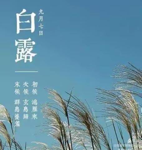 节气文化我知道——《白露》