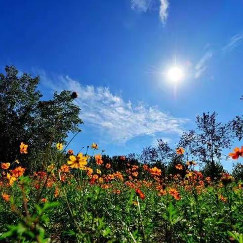 【湖滨城管】城管人的“别样中秋”