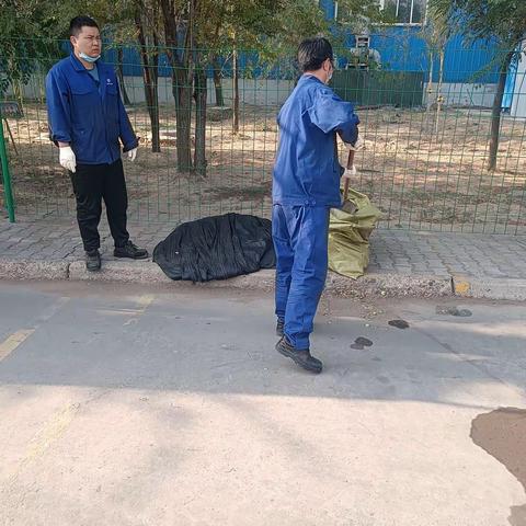 建设厂区新环境  509车间在行动