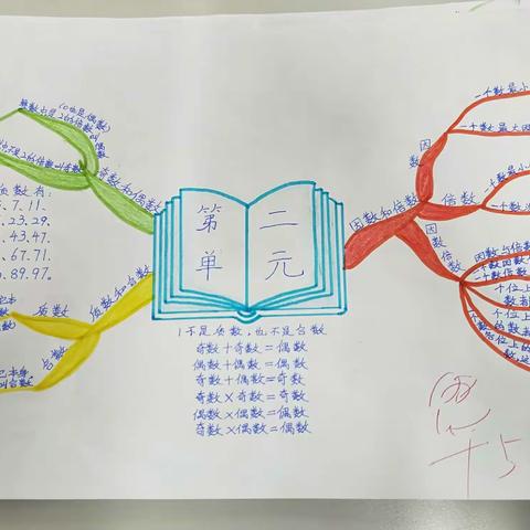 【漂亮的思维导图·五四数学】