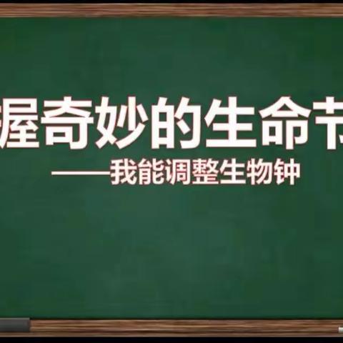 人体生物钟——同道小学三年级生活德育主题班会