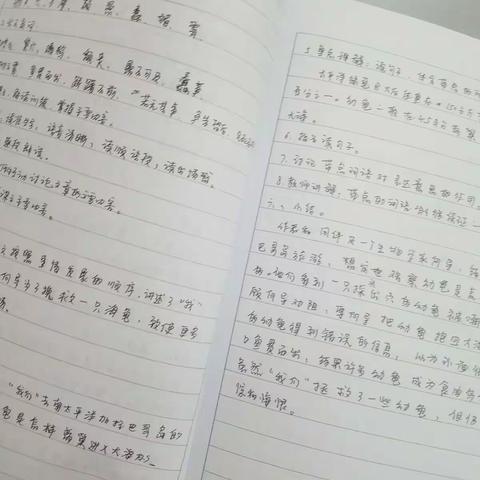 纸上得来终觉浅，绝知此事要躬行：乌海市二十二中实习心得。