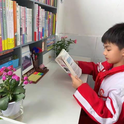 一隅书香，润泽心灵！——南雄市第二小学开展“最美图书角”评比活动