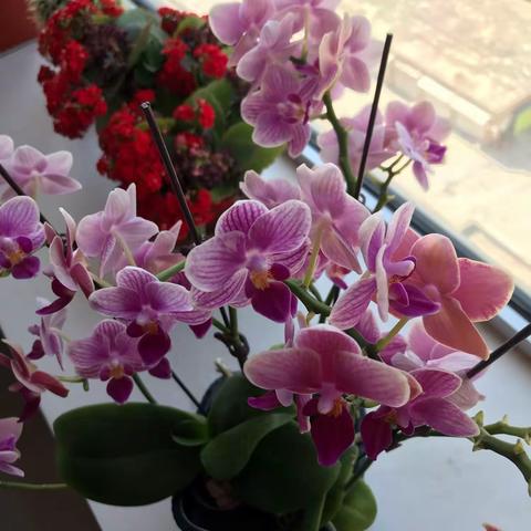 【现代诗】我的五·一节