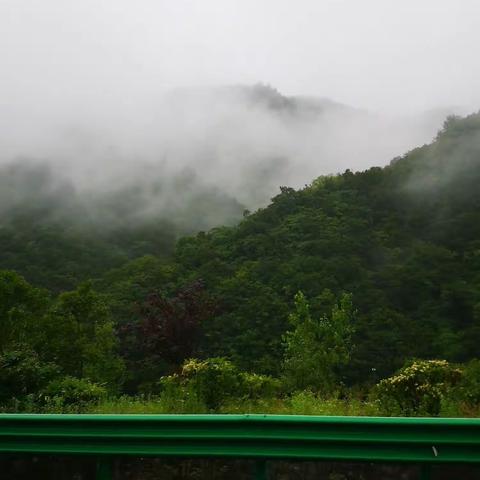 雨中秦岭