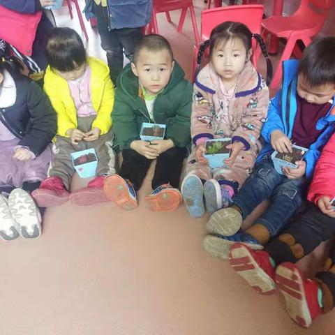 贝贝乐幼儿园中二班"拥抱春天，播种希望"主题活动
