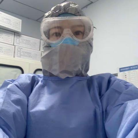 逆风飞翔的燕子